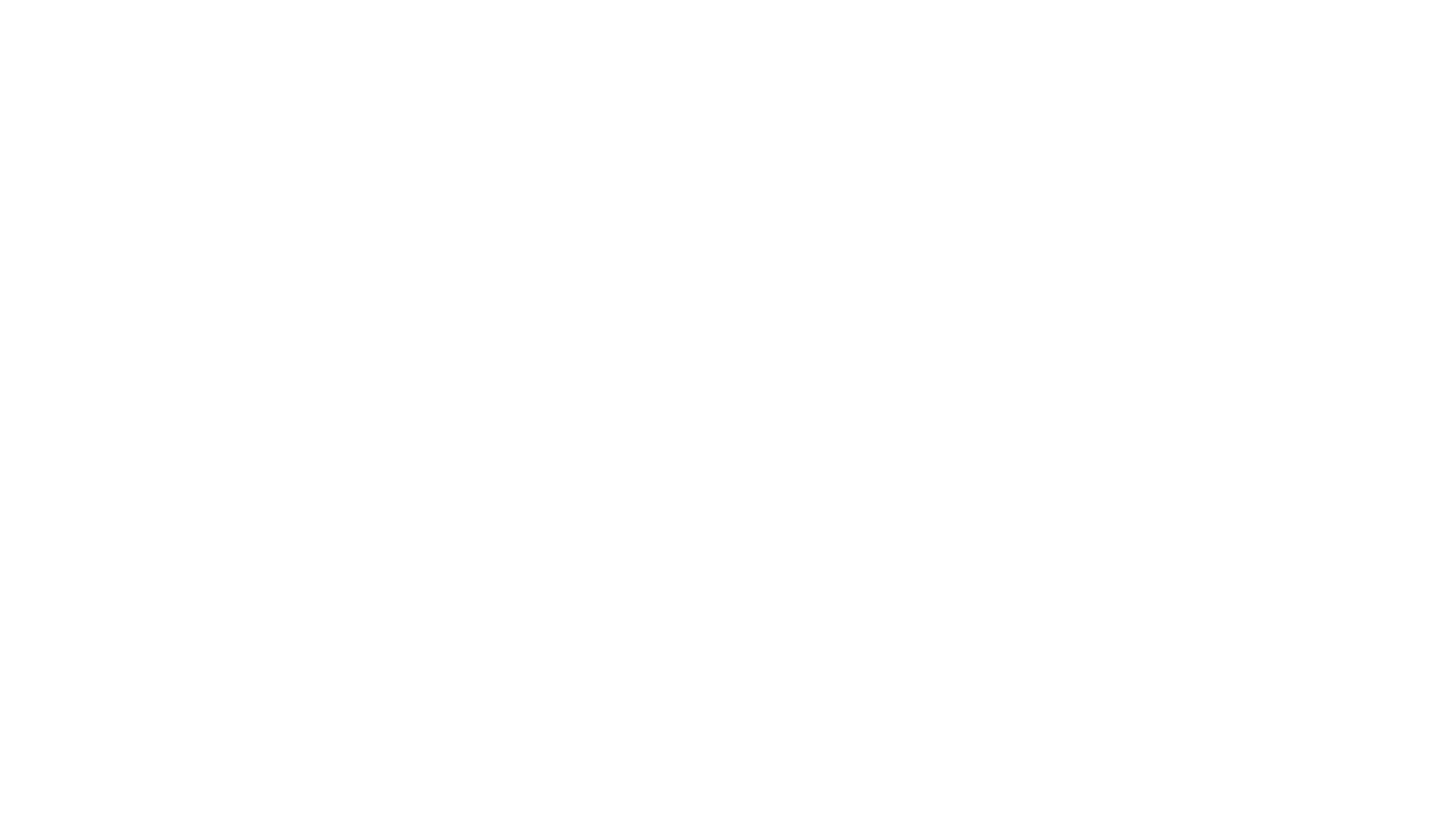 Wei&szlig;es Logo von Blitz & Bretter.
